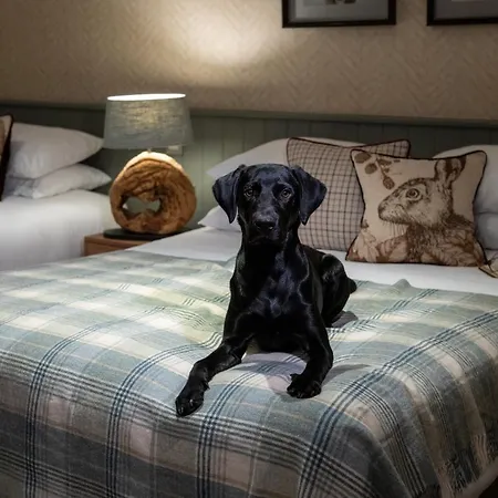 The Lister Arms Hotel 4*