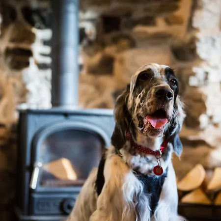Hotel The Lister Arms 4*