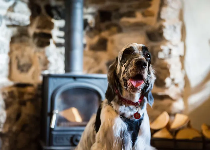 Hotel The Lister Arms 4*